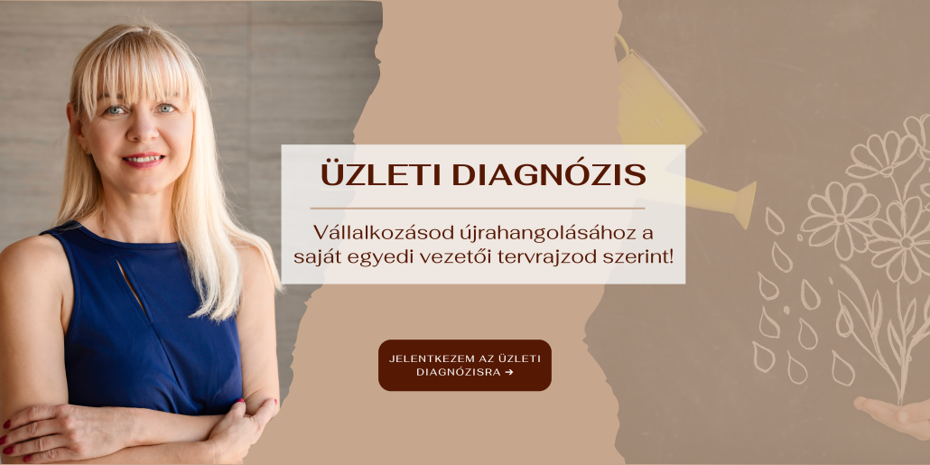 Üzleti Diagnózis és Vállalkozás Fejlesztés Vezetőknek